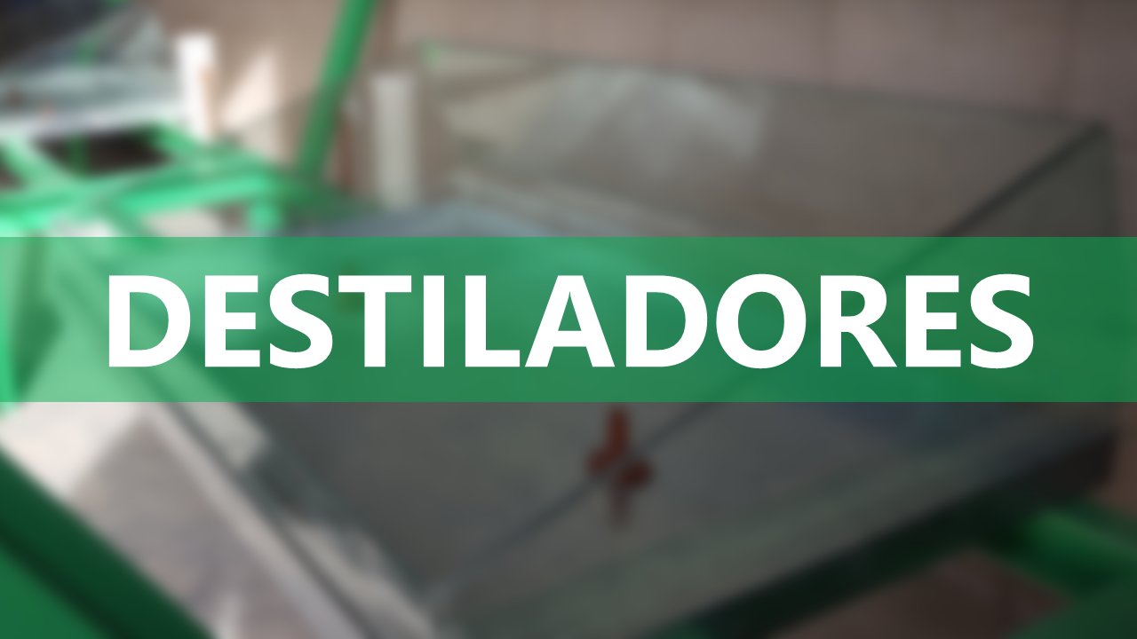 Diapositiva6